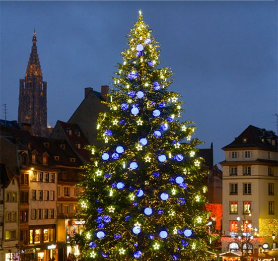 Sapin_noël_Strasbourg